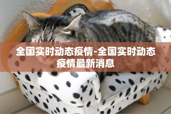 全国实时动态疫情-全国实时动态疫情最新消息 全国实时动态疫情-全国实时动态疫情最新消息