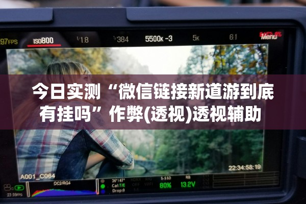 今日实测“微信链接新道游到底有挂吗”作弊(透视)透视辅助 