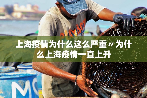 上海疫情为什么这么严重〃为什么上海疫情一直上升 上海疫情为什么这么严重〃为什么上海疫情一直上升