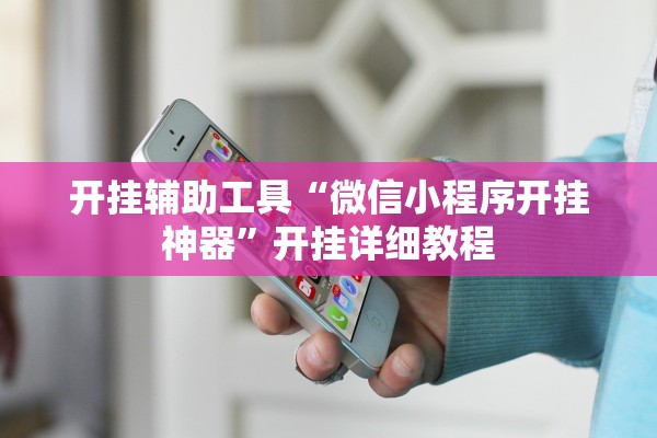 开挂辅助工具“微信小程序开挂神器”开挂详细教程