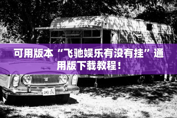 可用版本“飞驰娱乐有没有挂	”通用版下载教程！