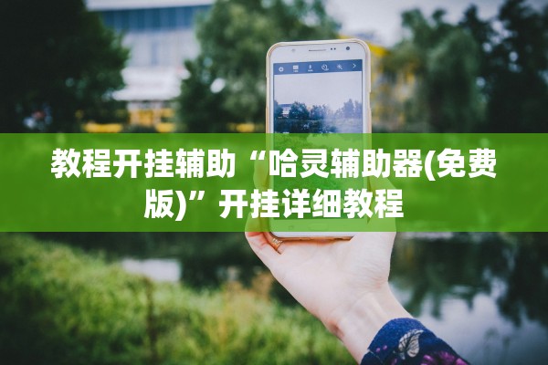 教程开挂辅助“哈灵辅助器(免费版)	”开挂详细教程