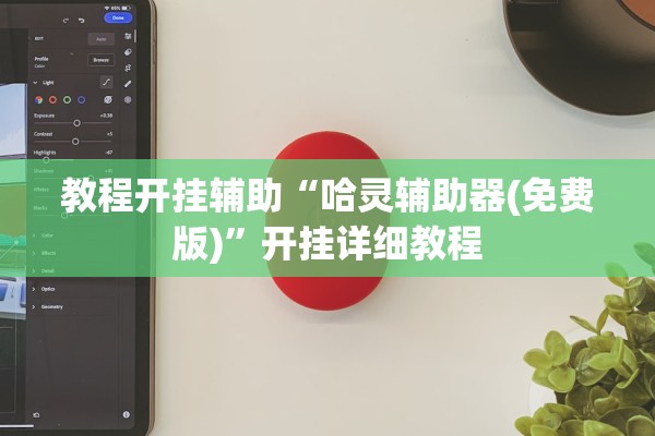 教程开挂辅助“哈灵辅助器(免费版)”开挂详细教程