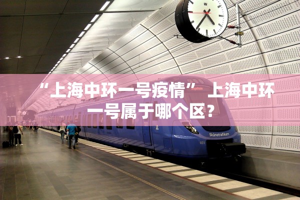 “上海中环一号疫情” 上海中环一号属于哪个区？