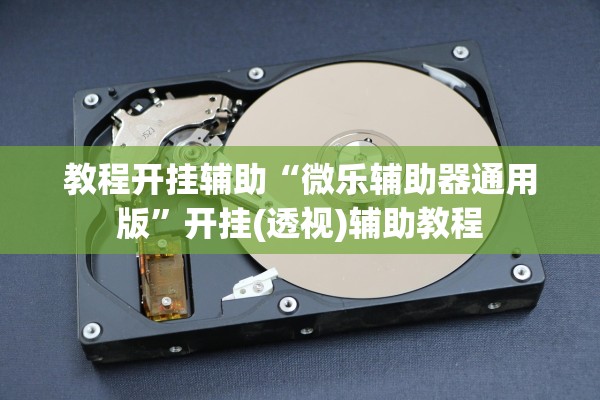 教程开挂辅助“微乐辅助器通用版”开挂(透视)辅助教程