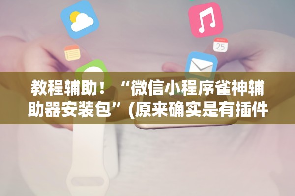 教程辅助！“微信小程序雀神辅助器安装包”(原来确实是有插件)
