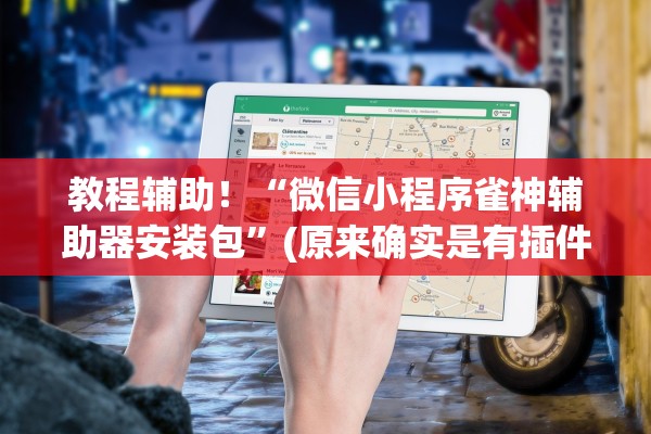 教程辅助！“微信小程序雀神辅助器安装包”(原来确实是有插件)