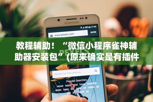 教程辅助！“微信小程序雀神辅助器安装包”(原来确实是有插件)