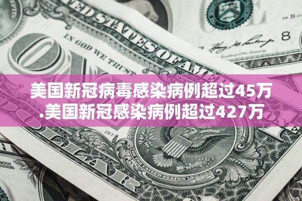 美国新冠病毒感染病例超过45万.美国新冠感染病例超过427万