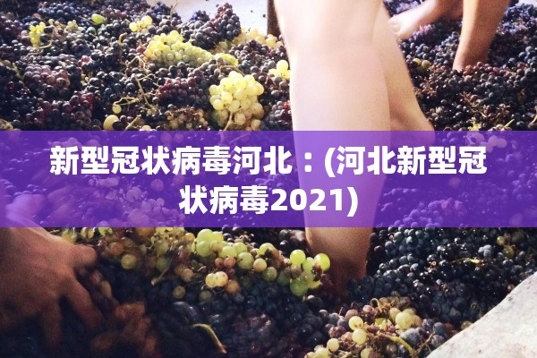 新型冠状病毒河北︰(河北新型冠状病毒2021)