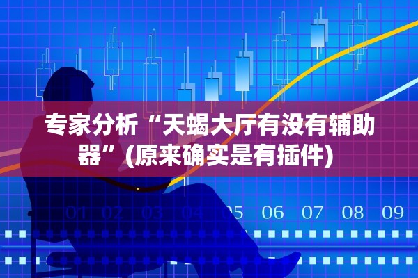 专家分析“天蝎大厅有没有辅助器”(原来确实是有插件) 