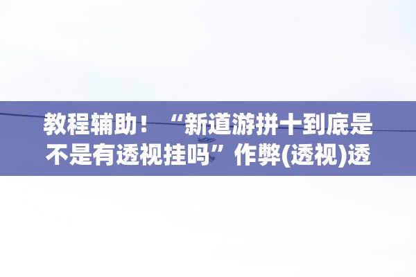 教程辅助！“新道游拼十到底是不是有透视挂吗”作弊(透视)透视辅助 