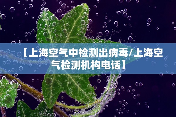 【上海空气中检测出病毒/上海空气检测机构电话】
