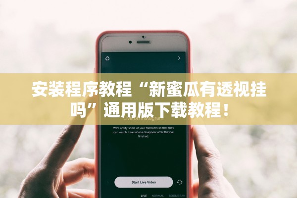 安装程序教程“新蜜瓜有透视挂吗”通用版下载教程！