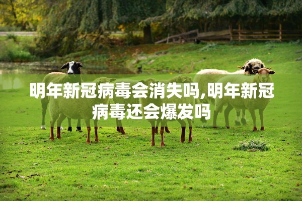 明年新冠病毒会消失吗,明年新冠病毒还会爆发吗