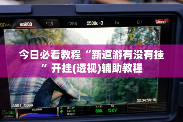 今日必看教程“新道游有没有挂”开挂(透视)辅助教程