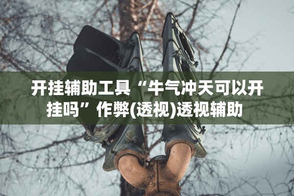 开挂辅助工具“牛气冲天可以开挂吗”作弊(透视)透视辅助 