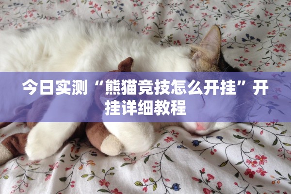 今日实测“熊猫竞技怎么开挂”开挂详细教程