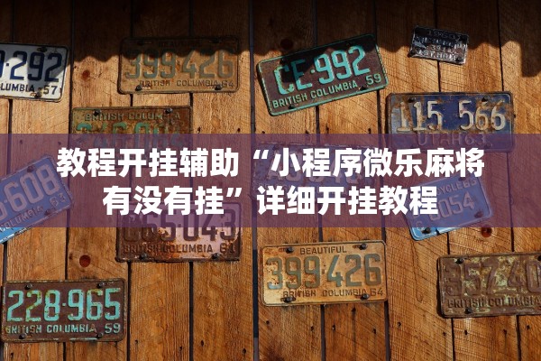 教程开挂辅助“小程序微乐麻将有没有挂”详细开挂教程