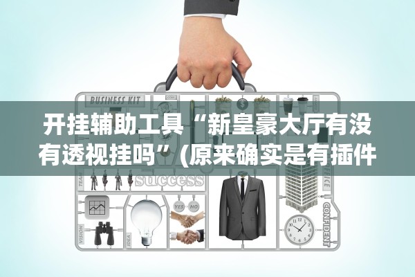 开挂辅助工具“新皇豪大厅有没有透视挂吗”(原来确实是有插件) 