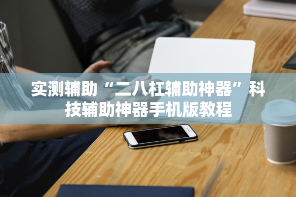 实测辅助“二八杠辅助神器”科技辅助神器手机版教程