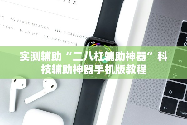 实测辅助“二八杠辅助神器”科技辅助神器手机版教程