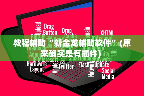 教程辅助“新金龙辅助软件	”(原来确实是有插件) 