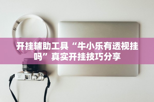 开挂辅助工具“牛小乐有透视挂吗”真实开挂技巧分享