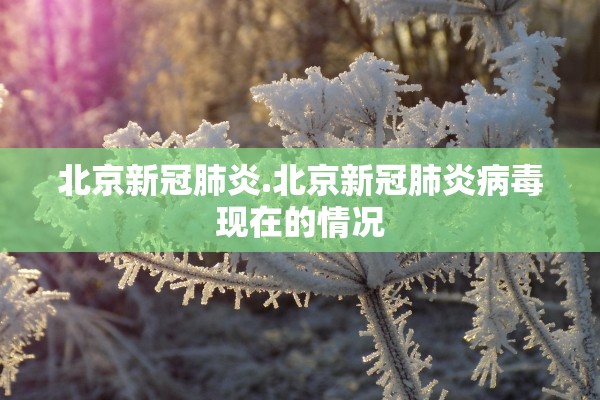 北京新冠肺炎.北京新冠肺炎病毒现在的情况