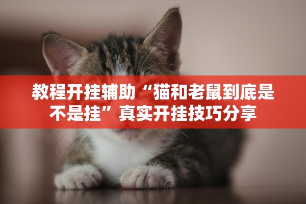 教程开挂辅助“猫和老鼠到底是不是挂”真实开挂技巧分享
