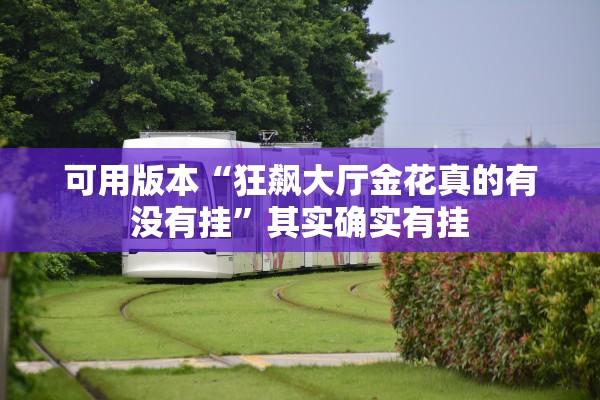 可用版本“狂飙大厅金花真的有没有挂”其实确实有挂