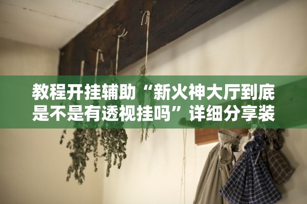 教程开挂辅助“新火神大厅到底是不是有透视挂吗”详细分享装挂步骤教程