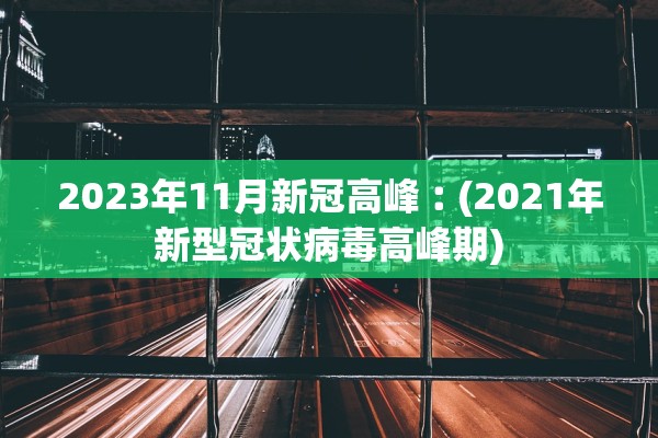 2023年11月新冠高峰︰(2021年新型冠状病毒高峰期)