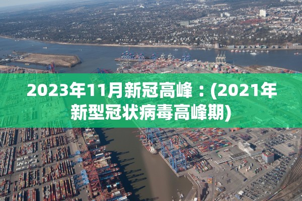 2023年11月新冠高峰︰(2021年新型冠状病毒高峰期)