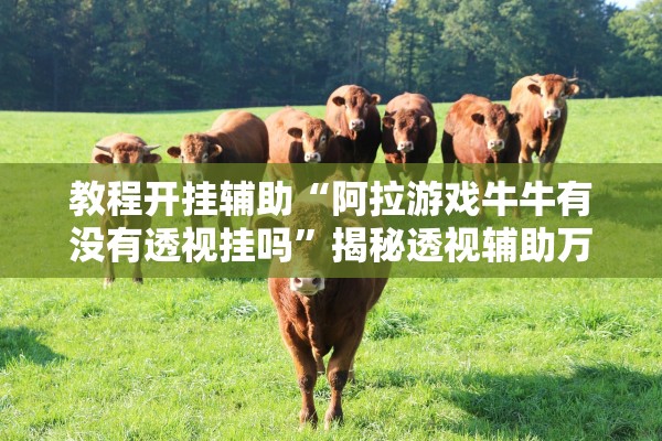 教程开挂辅助“阿拉游戏牛牛有没有透视挂吗”揭秘透视辅助万能挂用法