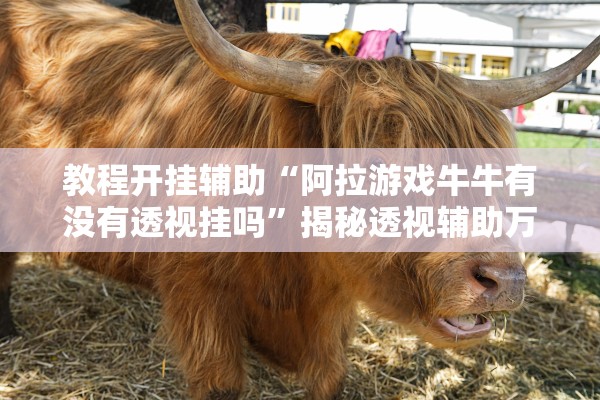 教程开挂辅助“阿拉游戏牛牛有没有透视挂吗”揭秘透视辅助万能挂用法