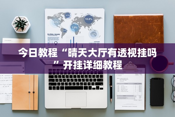 今日教程“晴天大厅有透视挂吗”开挂详细教程