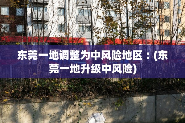 东莞一地调整为中风险地区︰(东莞一地升级中风险)