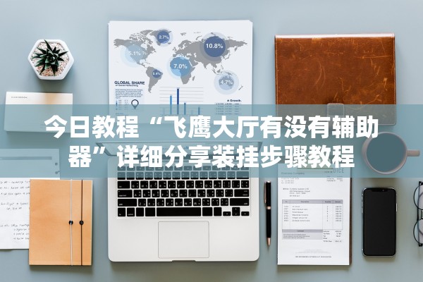 今日教程“飞鹰大厅有没有辅助器	”详细分享装挂步骤教程