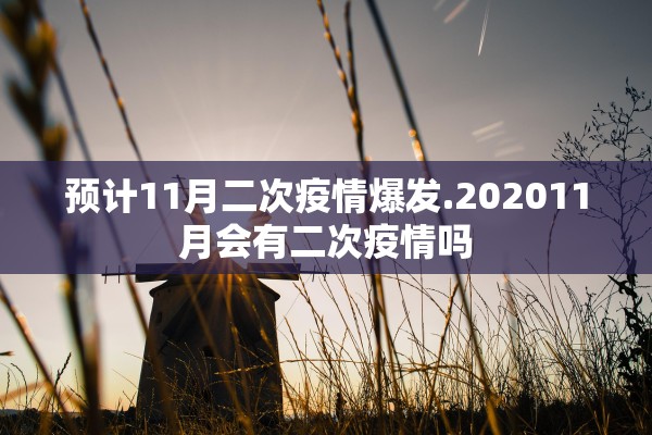 预计11月二次疫情爆发.202011月会有二次疫情吗