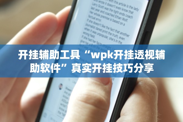 开挂辅助工具“wpk开挂透视辅助软件”真实开挂技巧分享