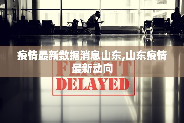 疫情最新数据消息山东,山东疫情最新动向