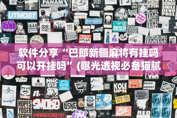 软件分享“巴郎新疆麻将有挂吗可以开挂吗”(曝光透视必备猫腻)