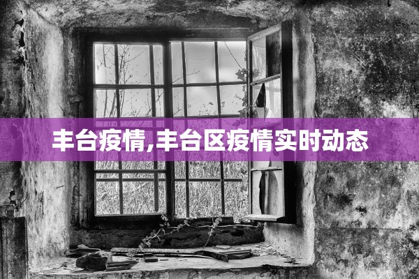 丰台疫情,丰台区疫情实时动态