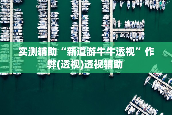 实测辅助“新道游牛牛透视	”作弊(透视)透视辅助 