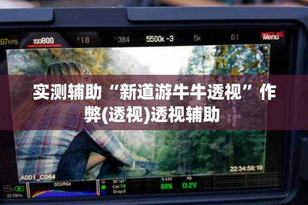 实测辅助“新道游牛牛透视”作弊(透视)透视辅助 