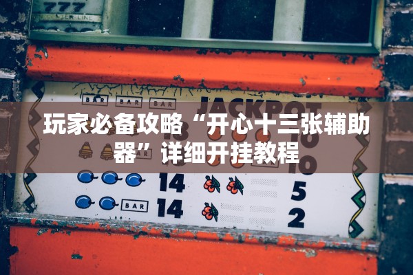 玩家必备攻略“开心十三张辅助器”详细开挂教程