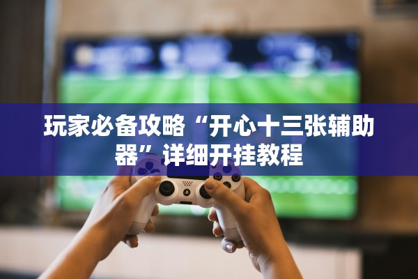 玩家必备攻略“开心十三张辅助器	”详细开挂教程