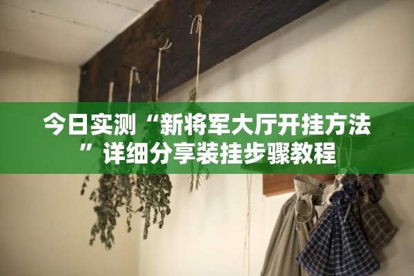 今日实测“新将军大厅开挂方法”详细分享装挂步骤教程