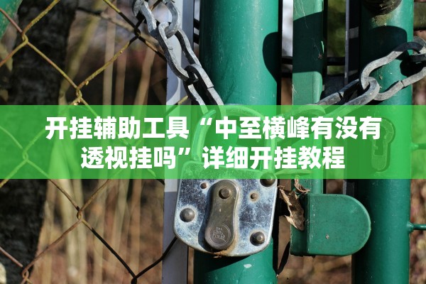 开挂辅助工具“中至横峰有没有透视挂吗	”详细开挂教程